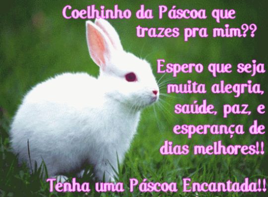 Mensagens-Divertidas-de-P%C3%A1scoa-para